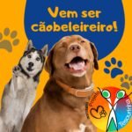 CURSO DE CÃOBELEIREIRO (banho e tosa canina)